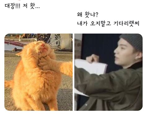 방탄 슈가 ㅋㅋㅋㅋㅋㅋㅋㅋ 이거너무웃곀ㅋㅋㅋㅋㅋㅋㅋㅋㅋㅋㅋㅋㅋㅋㅋㅋㅋㅋㅋㅋㅋㅋ 인스티즈instiz 연예 카테고리