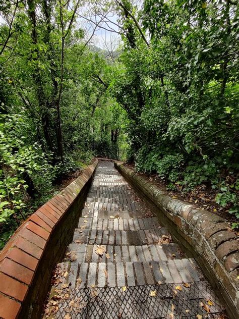 Cannon Steps At Castle Hill Bridgnorth Mat Fascione Cc By Sa