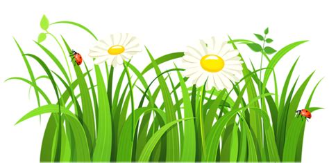 Flower patch clipart - Clipground