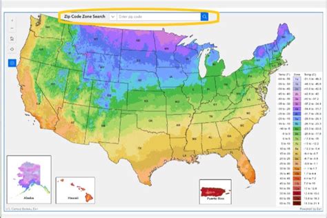 What is My Planting Zone? - Bethel Farms