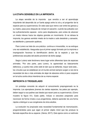 Beatriz Chuquecallata Machaca Pdf