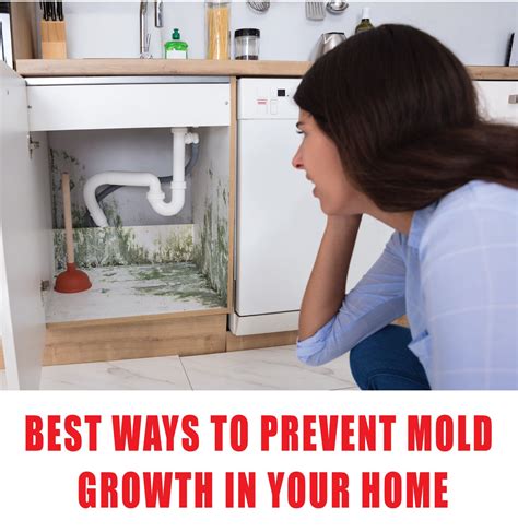 Mold Prevention Tips Don T Let Mold Affect Your Health And Property Mold Prevention