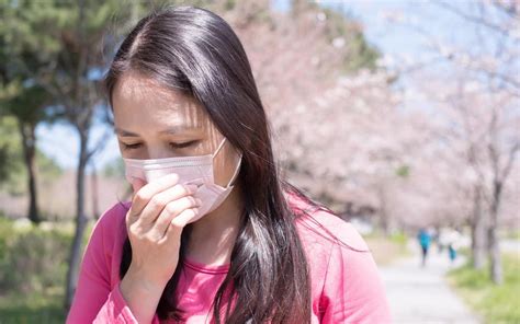 Hay Fever Advice Sought Every Three Seconds What Are The Symptoms And How Do You Treat It