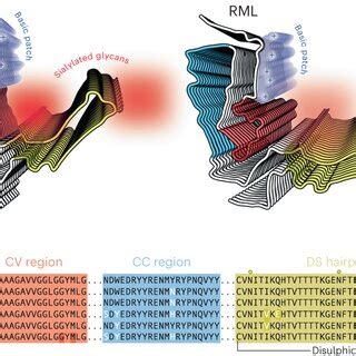 Me Fibril Morphologies And The Atomic Structure Of Their Constituent