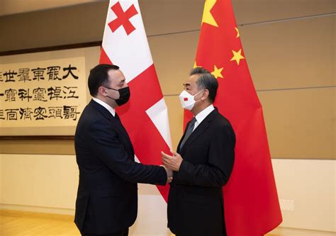 Georgian Prime Minister Irakli Garibashvili Met With Chinese State