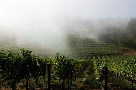 The most beautiful wineries in Napa and Sonoma