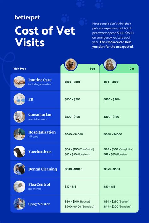 ⚕️ How Much Does A Vet Visit Cost 💵