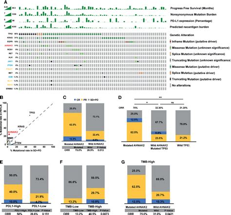 Frontiers Deleterious AHNAK2 Mutation As A Novel Biomarker For Immune