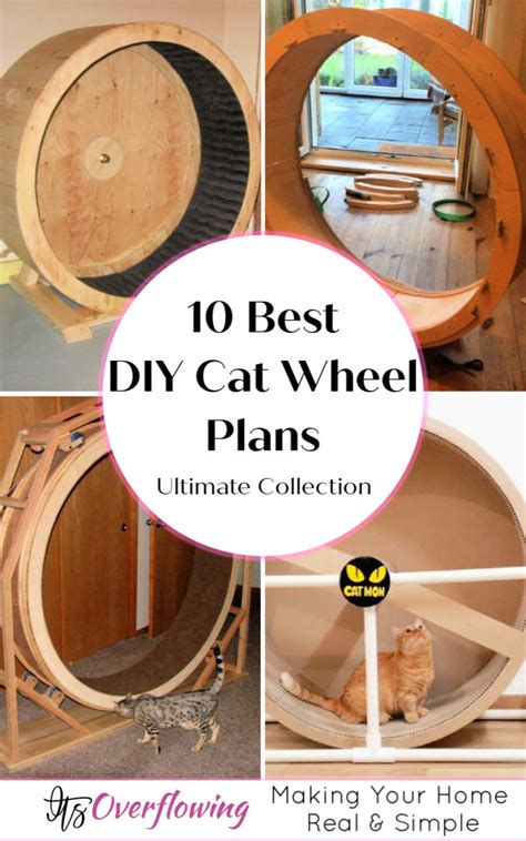 10 Best Diy Cat Wheel Plans Make A Cat Exercise Wheel