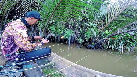 MANCING UDANG GALAH JORANKU DITARIK KERAS KE DASAR SUNGAI Video