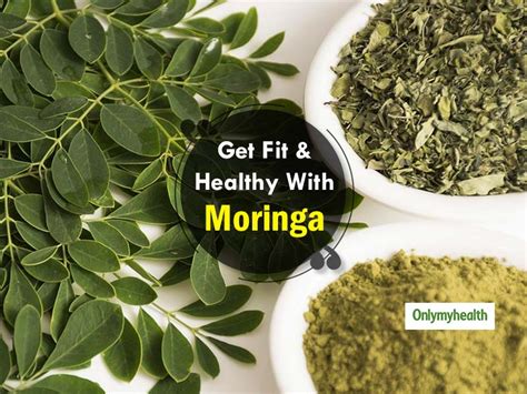 Moringa Leaves Health Benefits Why Moringa Powder Is No Less Than A