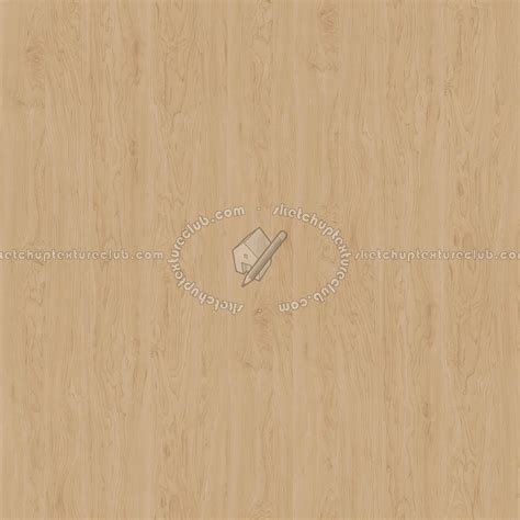 Birch Fine Wood PBR Texture Seamless 22014