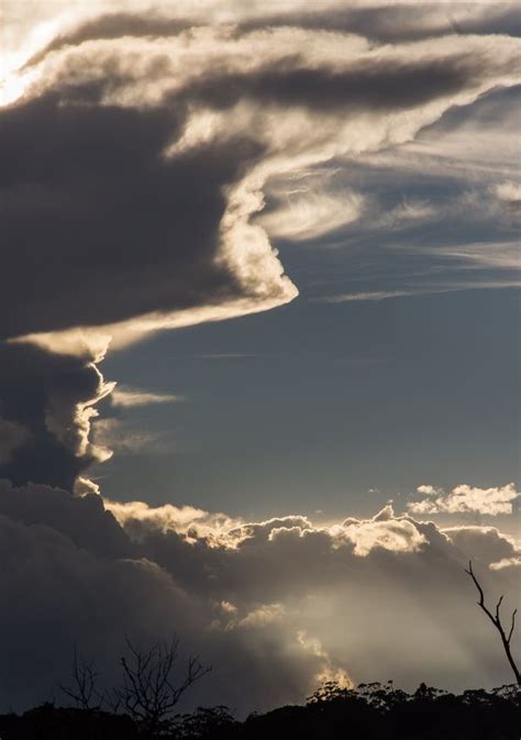 Free Images Light Cloud Sky Sunset Sunlight Cumulus Darkness