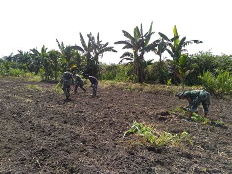 Stabilkan Ketersediaan Bahan Pokok Makanan Satgas Yonif Mr Bantu