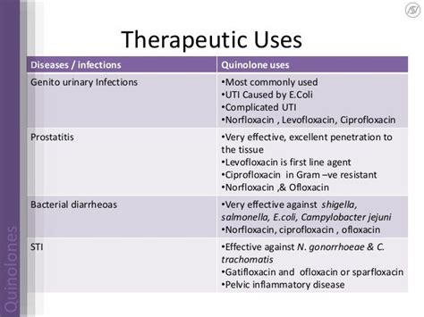 Quinolones | drug develoupment | mechanism of action | future