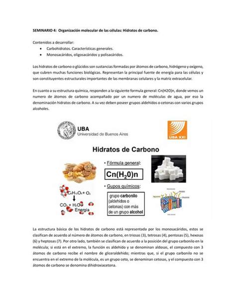 Seminario Organizaci N Molecular De Las C Lulas Hidratos De