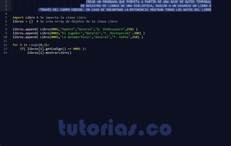 POO Python Clase Consulta Libro Tutorias Co