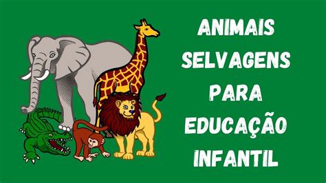 Animais Selvagens Educacao Infantil