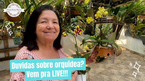 Dicas Dona Maria D Vidas Sobre Orqu Deas Vem Pra Live Youtube