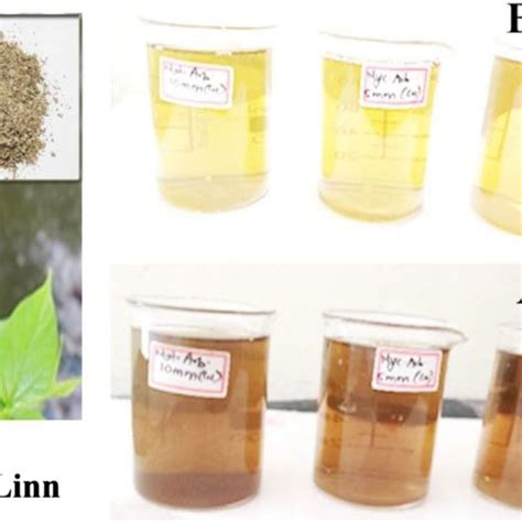 Ftir Analysis Of Nyctanthes Arbor Tristis L Leaf Extract Download