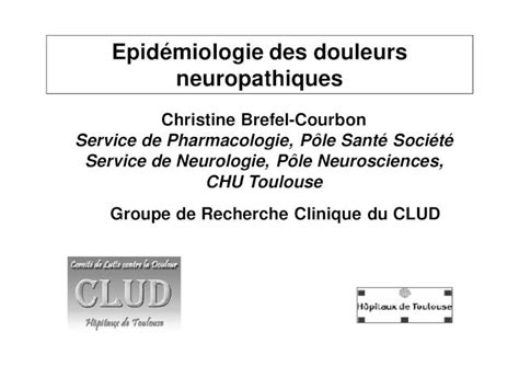 PDF Epidémiologie Des Douleurs Neuropathiques DOKUMEN TIPS