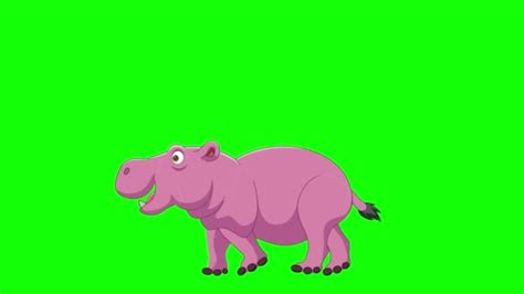 Vector Illustration Cartoon Hippo Walking Animation Green Screen ...