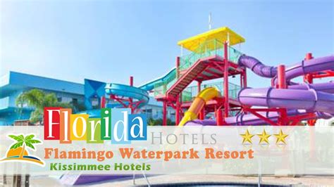 Flamingo Water Park Resort Orlando – Telegraph