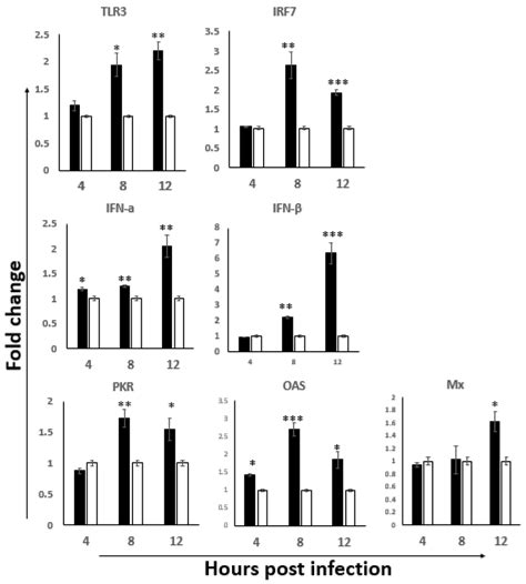 The Gene Expression Level Of TLR3 Antiviral Pathway In The ILP Cells Of