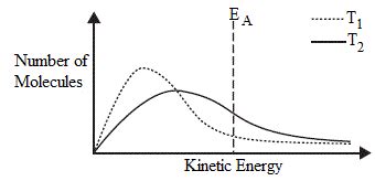 Kinetic Energy Diagram