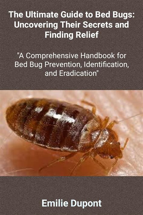 The Ultimate Guide To Bed Bugs Uncovering Their Secrets And Finding