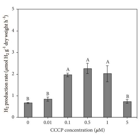 Effects Of Various Concentrations Of Carbonyl Cyanide M Chlorophenyl