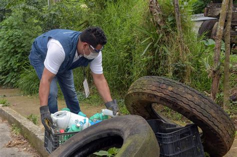 Salud Colima Con Saneamiento B Sico Se Puede Detener El Dengue