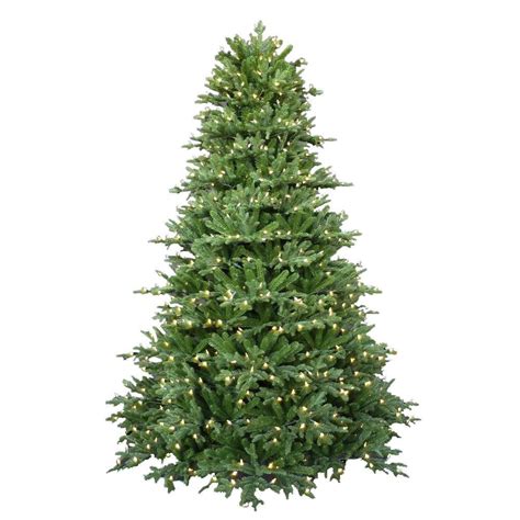 75 Ft Pre Lit Led Royal Fraser Fir Artificial Christmas Tree With Warm White Lights 4205101