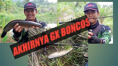 Mancing Di Bulan Puasa Dapat Gabus Babon Fishing Part 2 YouTube