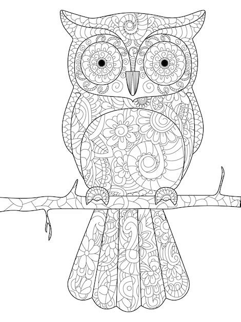 Hibou Sur Une Branche Vecteur De Livre De Coloriage Pour Adultes