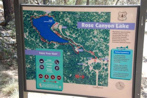 Rose Canyon Lake Campground Updated 2018 Prices And Reviews Mount