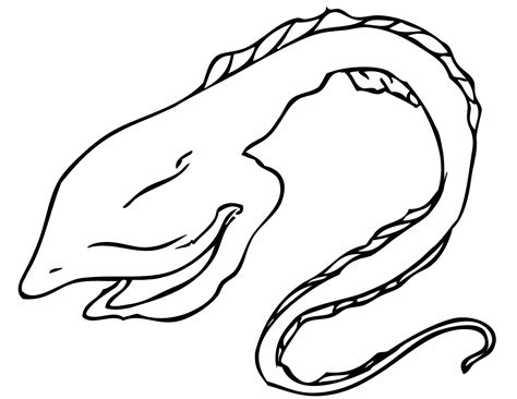 Eel Coloring Pages - Learny Kids