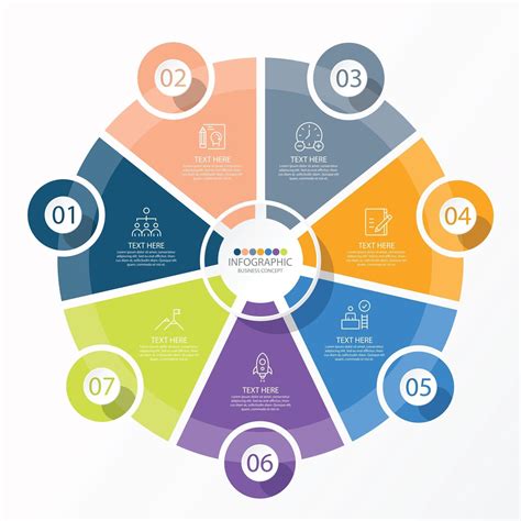 Template Infogr Fico De C Rculo B Sico Etapas Processo Ou Op Es