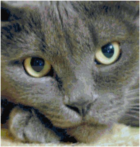 Gray Cat Counted Cross Stitch Pattern Chart Pdf Download By Stitching