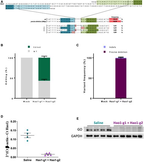 In Vitro And In Vivo Genetic Disease Modeling Via NHEJ Precise