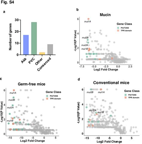 Figure S4 A Significant Proportion Of A Muciniphila Genes Required