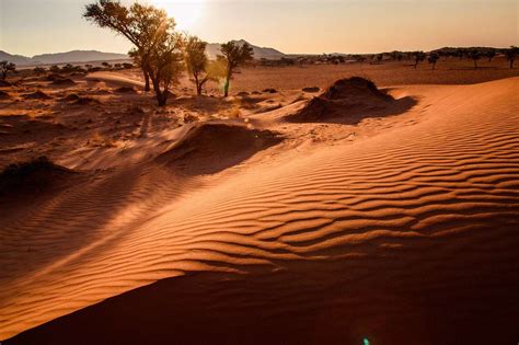 P Rip Ties D Une Famille En Terres Namibiennes Page Carnet De