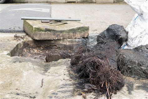 Why Ignoring Blocked Drains In Perth Is A Bad Idea For Homes