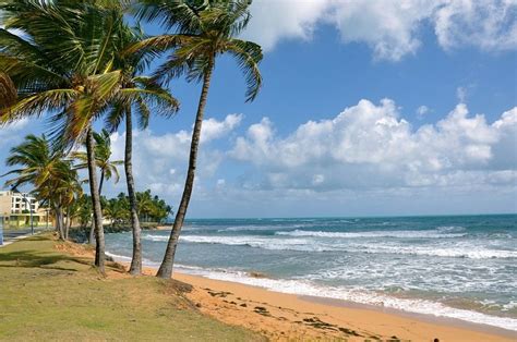 Quando Il Momento Migliore Per Viaggiare A Puerto Rico Classificato