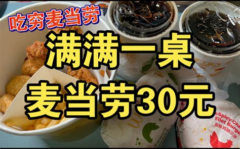 吃穷麦当劳！不到30元，两个鸡腿汉堡，1个鸡腿，2块鸡翅，5块麦乐鸡，一份薯条， 哔哩哔哩