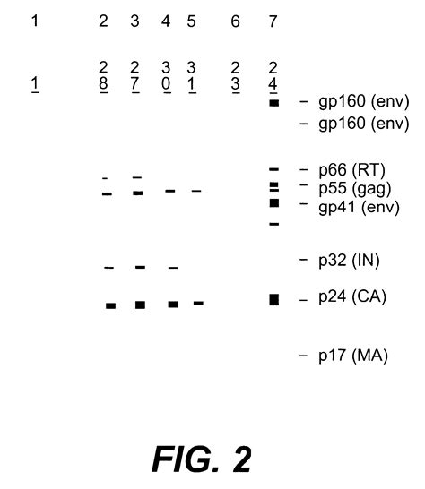 Nucleotide Sequences Of Hiv Type Or Subtype O Retrovirus Antigens