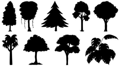 Tree Shadow Vector Art, Icons, and Graphics for Free Download