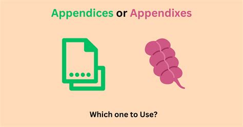 Appendices Or Appendixes Clarifying Usage Grammar Palette