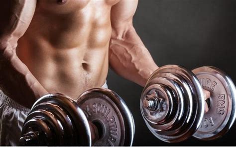 Guys Simak 5 Tips Membentuk Otot Perut Six Pack Okezone Health