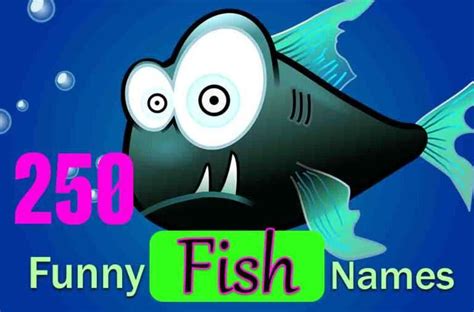 250 Funny Fish Names - A Hilarious Guide To Naming Your Fish